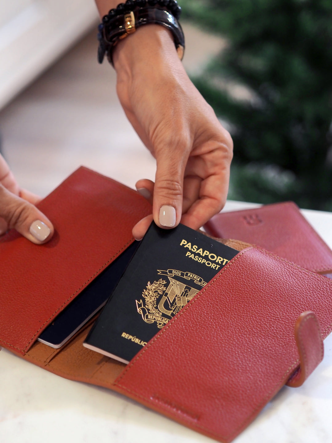 Leather Passport Holders