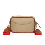 Palomino con camel